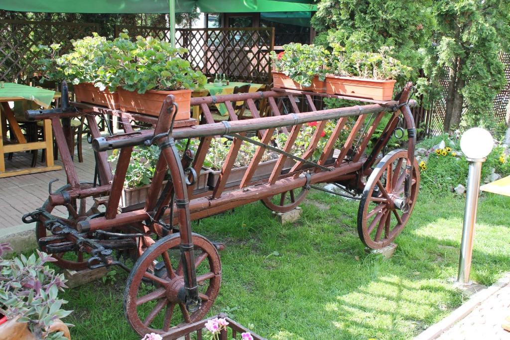 Pension Tip-Top Târgu-Mureş Eksteriør billede